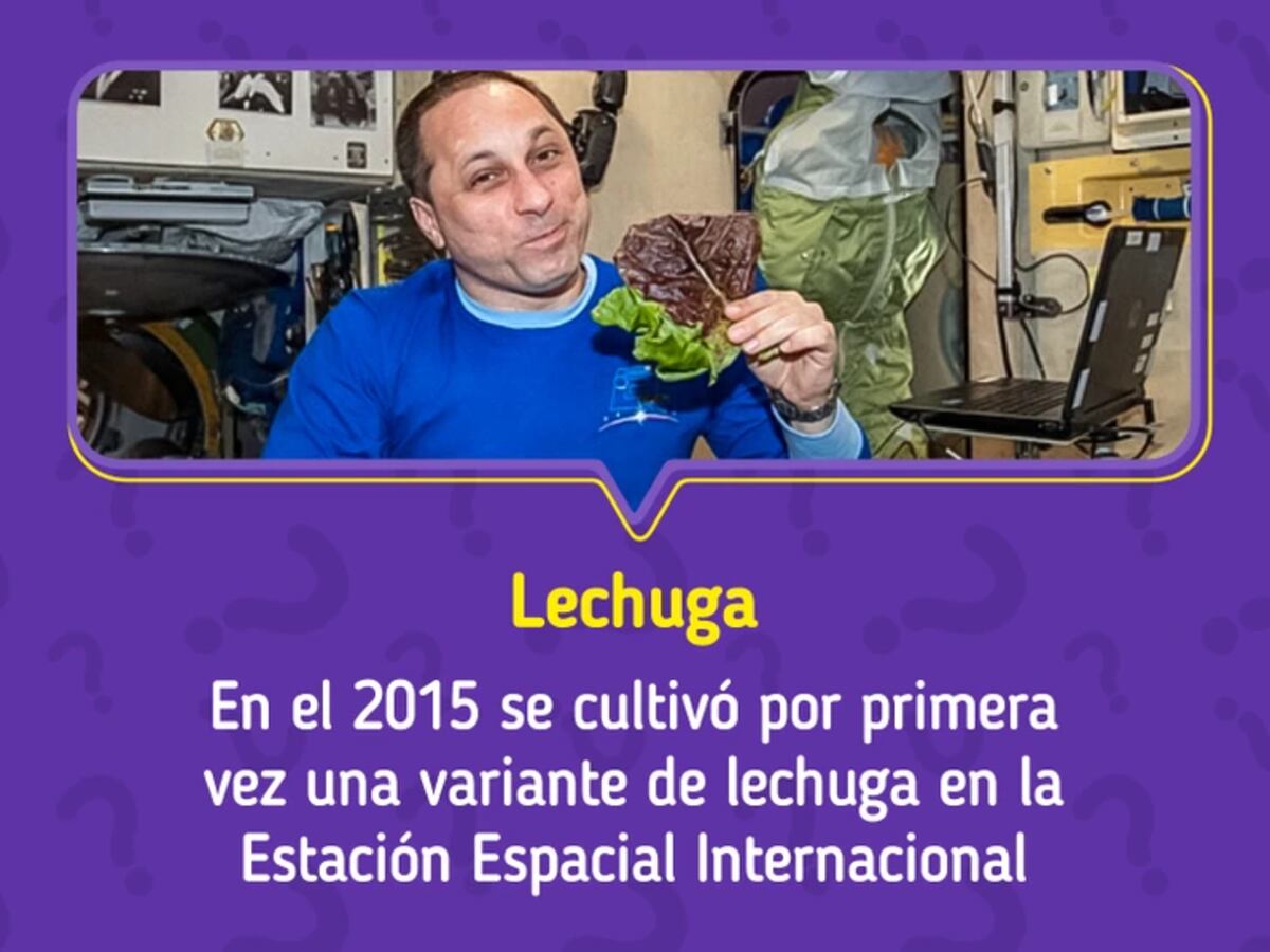 La solución del acertijo.