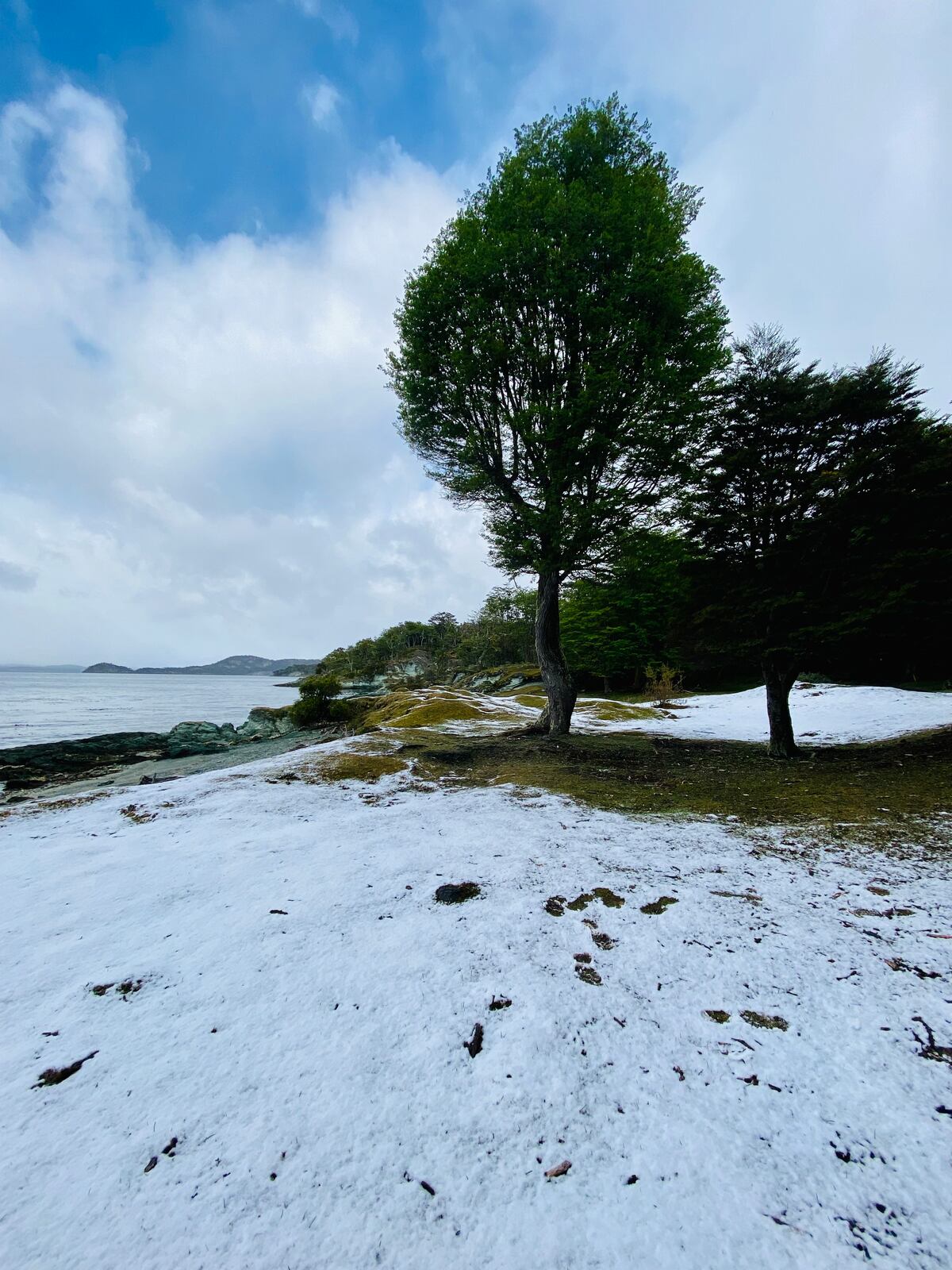 Parque Nacional Tierra del Fuego, bajo un manto de nieve. (Voy de Viaje)