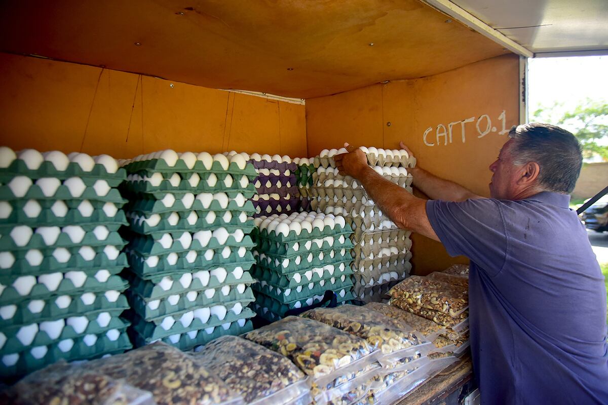 Récord de consumo de huevos. Venta en un puesto ambulante de avenida Spilimbergo. (Pedro Castillo / La Voz)