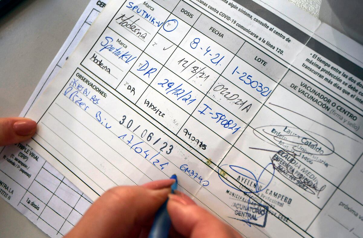 El calendario incluye la antigripal para grupos de riesgo (Los Andes / Orlando Pelichotti)