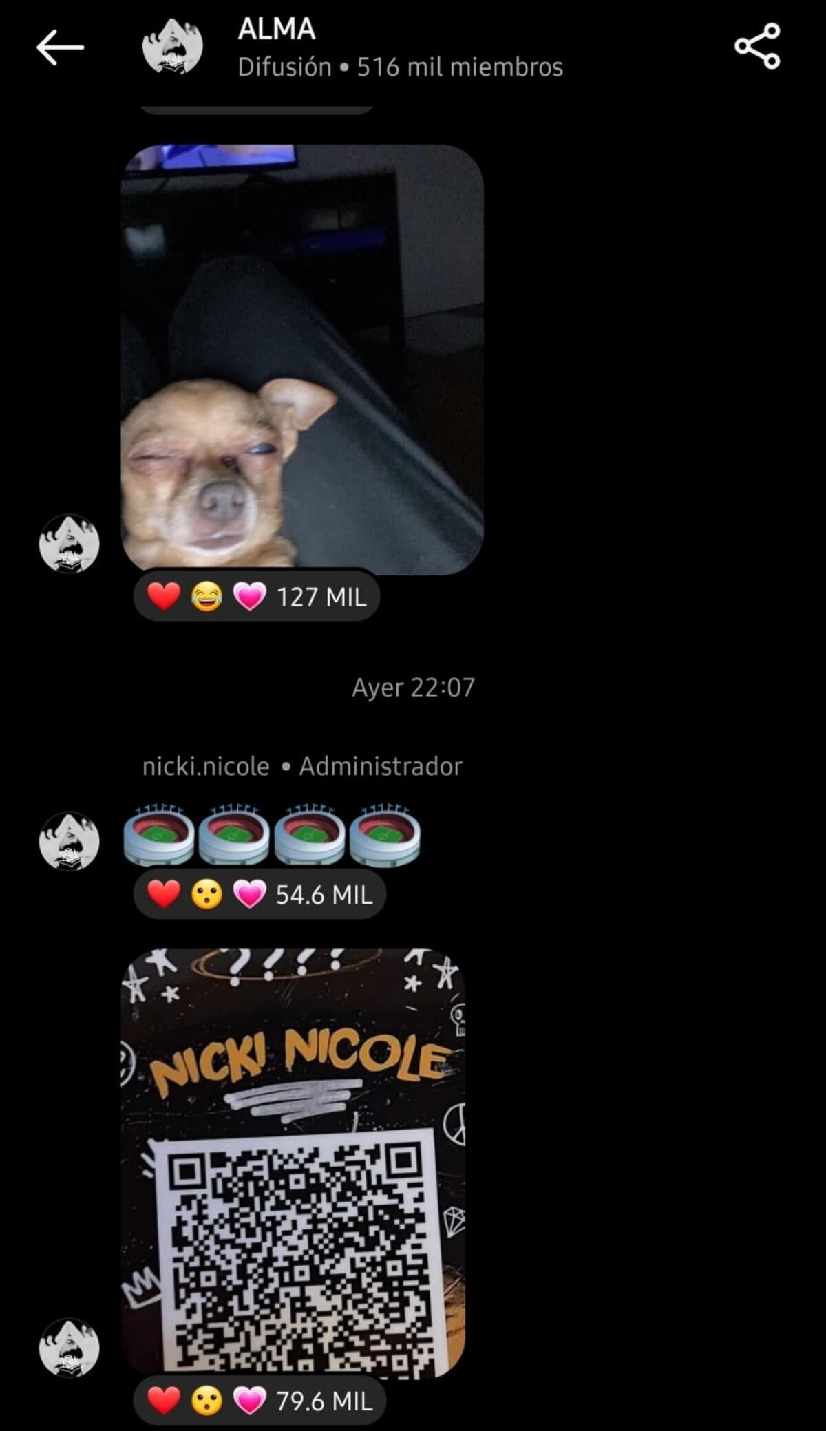Nicki Nicole enloqueció a sus fans con los mensajes de su canal de difusión (Captura de pantalla)