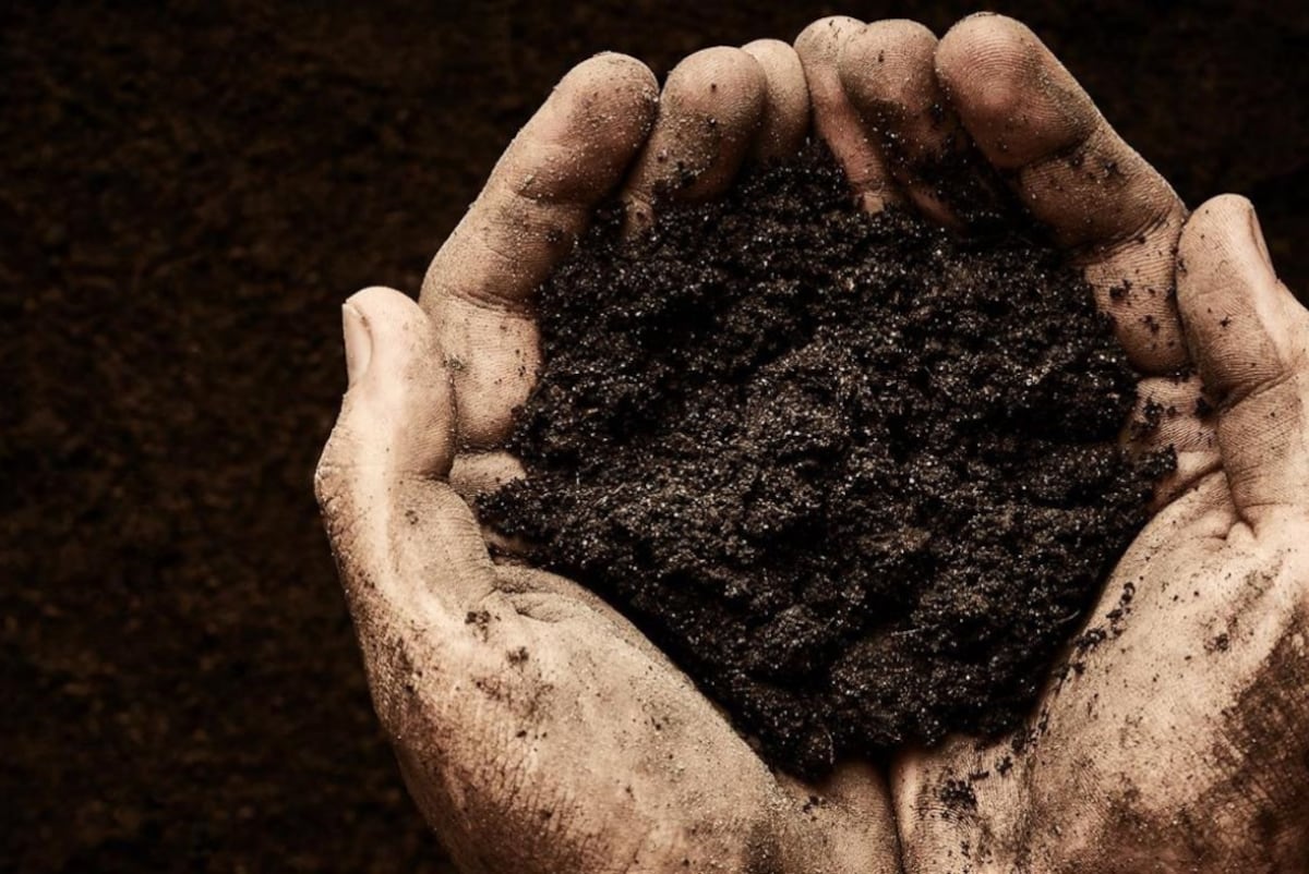 Se trabaja para que la agricultura sea una parte principal de la solución para el cambio climático. (Foto: Bayer)