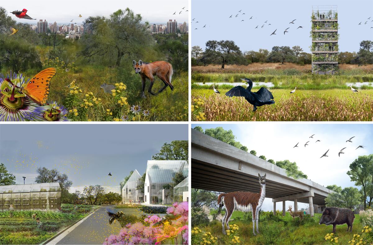 Proponen estrategias para favorecer el ambiente en la ciudad (Gentileza Camila Liandro).