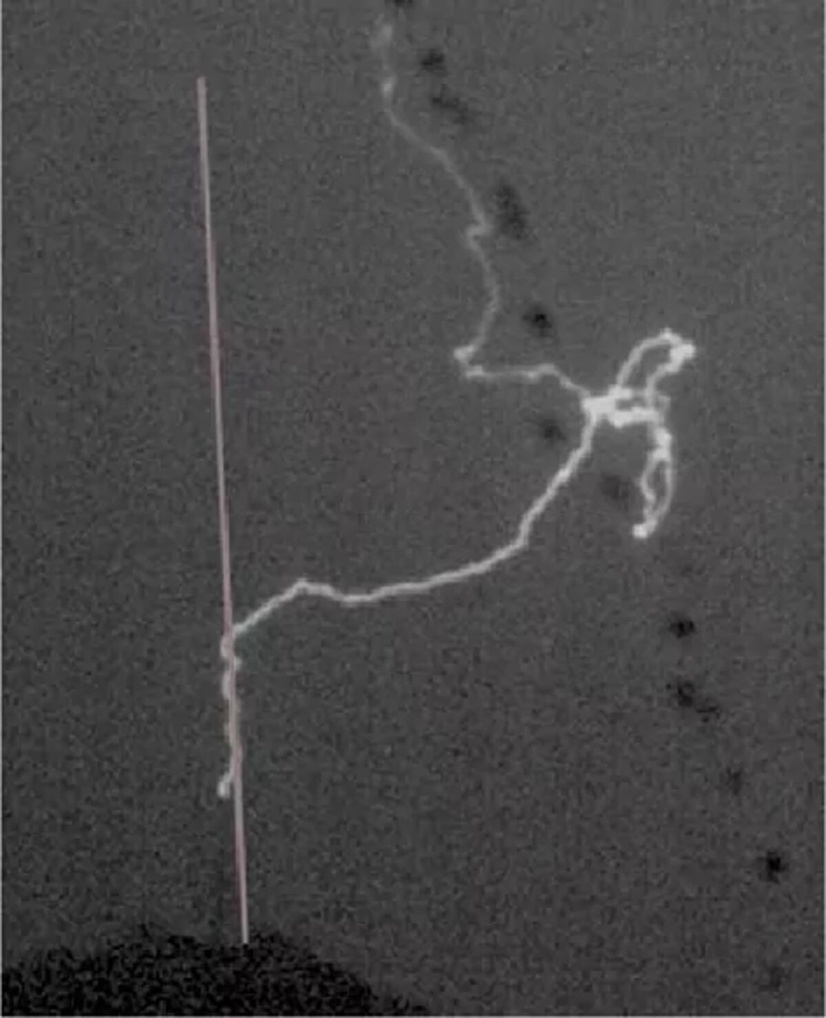 Imagen tomada durante el experimento. (El Mundo)