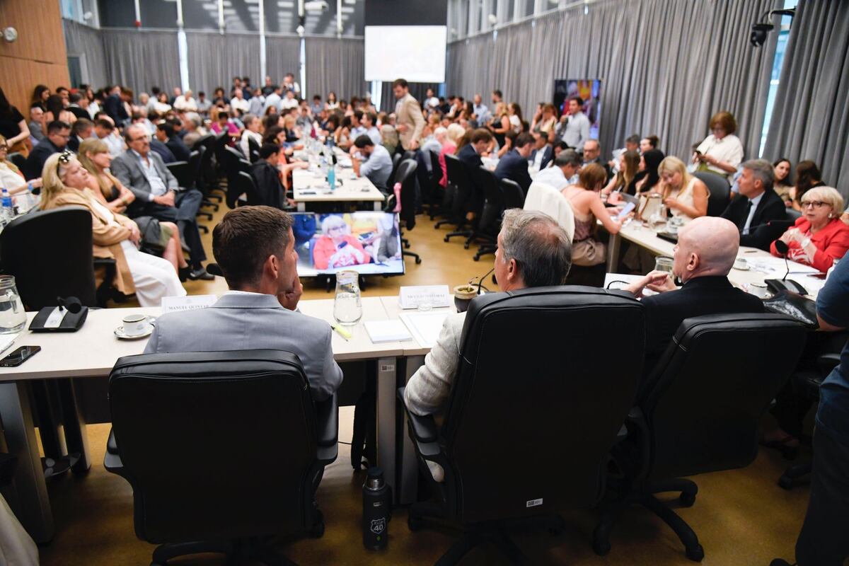 La Cámara de Diputados durante el debate en comisiones la suspensión de las Paso. (HCDN)