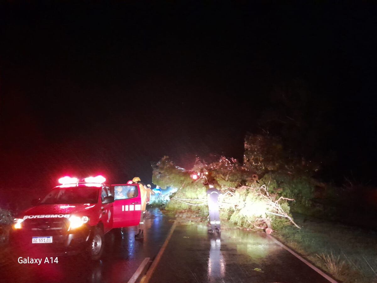 Lo que dejó el paso de la tormenta en el sudeste cordobes. (Gobierno de Córdoba)