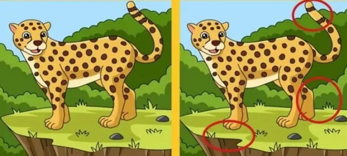 La solución del acertijo visual.