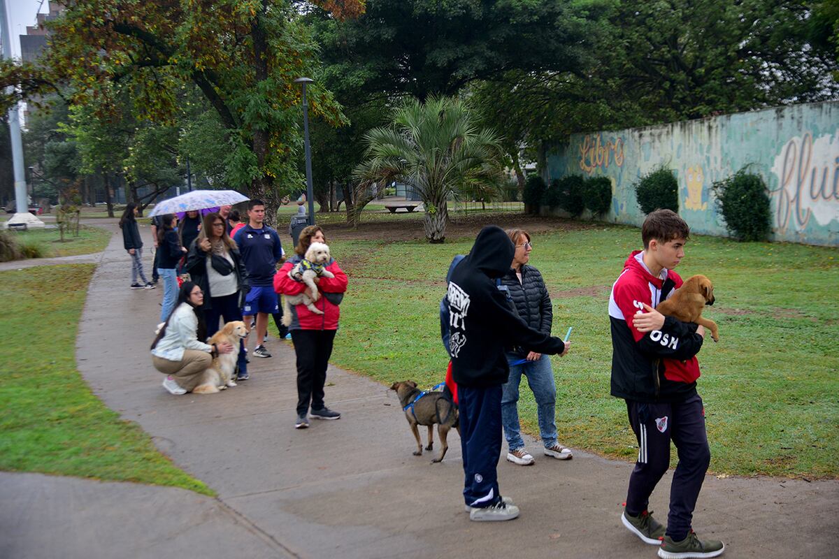 Córdoba. Llevan adelante la campaña gratuita de vacunación y desparasitación para perros y gatos en el Parque de las Tejas. (Pedro Castillo / La Voz)