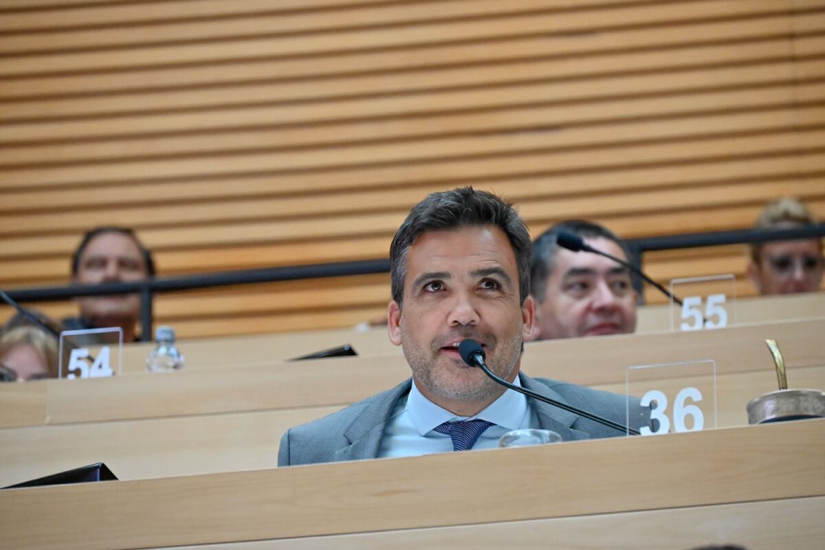 Tuvo despacho favorable el proyecto presentado por el Presidente Provisorio y Legislador Departamental, Facundo Torres. (Prensa)