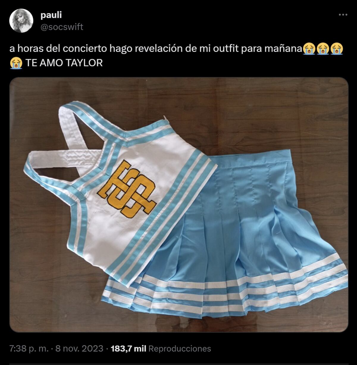 Taylor Swift en Argentina: los mejores outfits de las fans argentinas de The Eras Tour (Captura de pantalla)