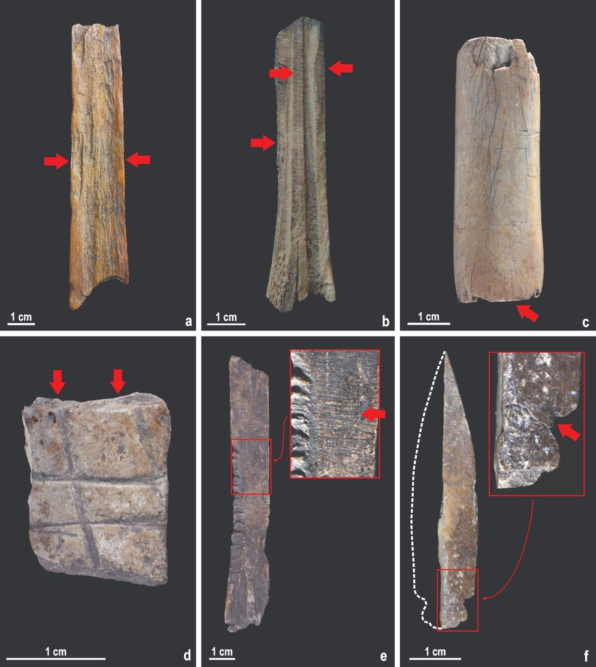 Puntas de flecha ósea del Museo Arqueológico Numba Charava, ubicado en Parque Estancia La Quinta, Villa Carlos Paz. (Gentileza).