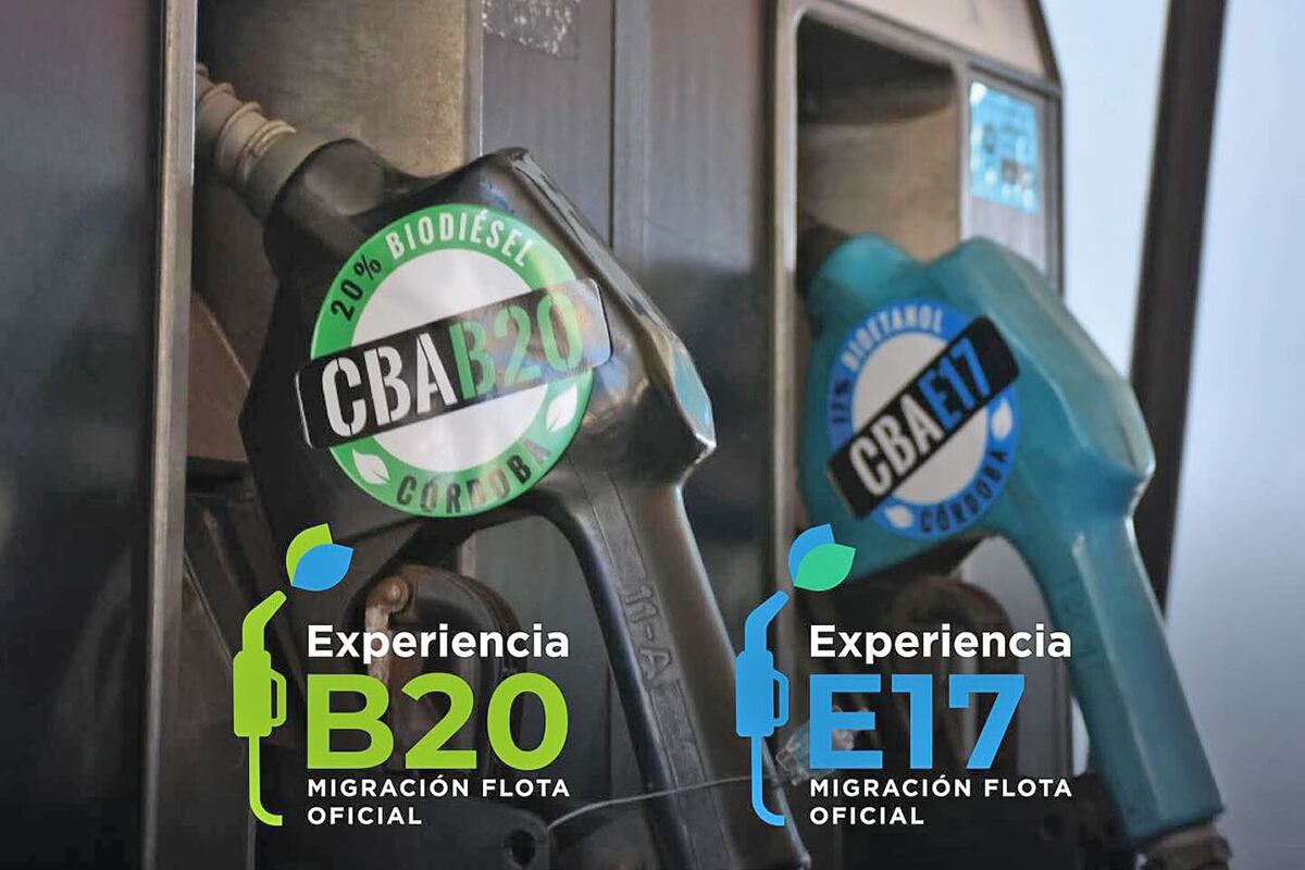 La industrialización local de la soja y el maíz redefine la economía regional, integrando campo, industria y conocimiento en un modelo bioeconómico.