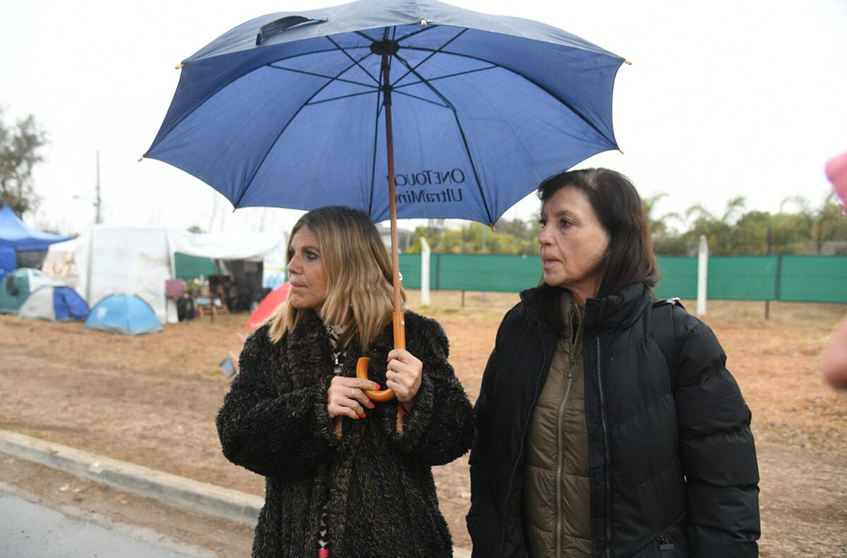Quebracho de la Avenida Luchesse. Sigue la protesta por el traslado del árbol. (Pedro Castillo / La Voz)