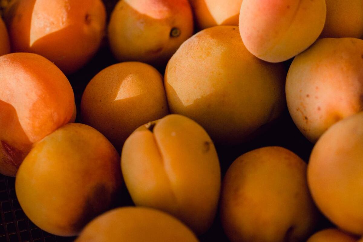 Pequeña, dulce y poderosa: esta fruta anaranjada esconde propiedades que pueden transformar tu salud desde adentro hacia afuera. (Freepik)