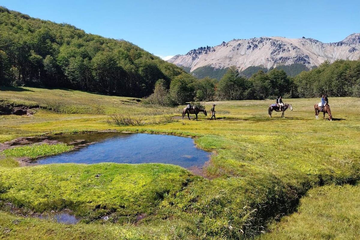 Cabalgatas. Una de las actividades elegidas por aquellos que prefieren la contemplación y un paseo más relajado por la zona.