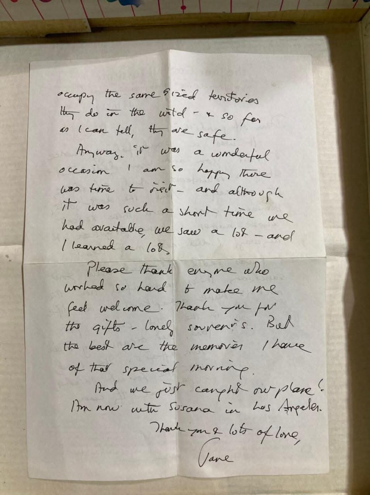 La carta que le escribió Jane a Alejandra. (Proyecto Carayá)