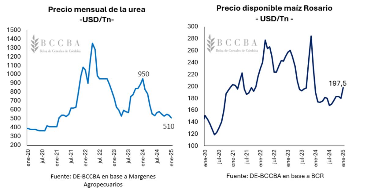 Maíz Córdoba