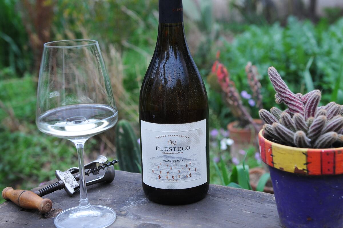 El Esteco Blanc de Noir 2020 Salta-Catamarca (Javier Ferreyra)