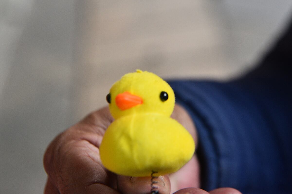 Patitos kawaii, unas pequeñas aves de plástico amarillo que los jóvenes comenzaron a usar de manera insólita: en la cabeza, como una hebilla. (Pedro Castillo / La Voz)