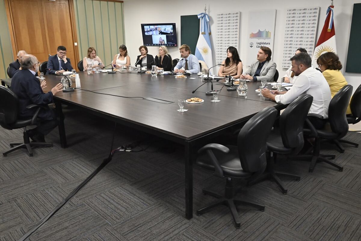 Audiencia pública por la designación de Carlos Lezcano como fiscal General (Legislatura).