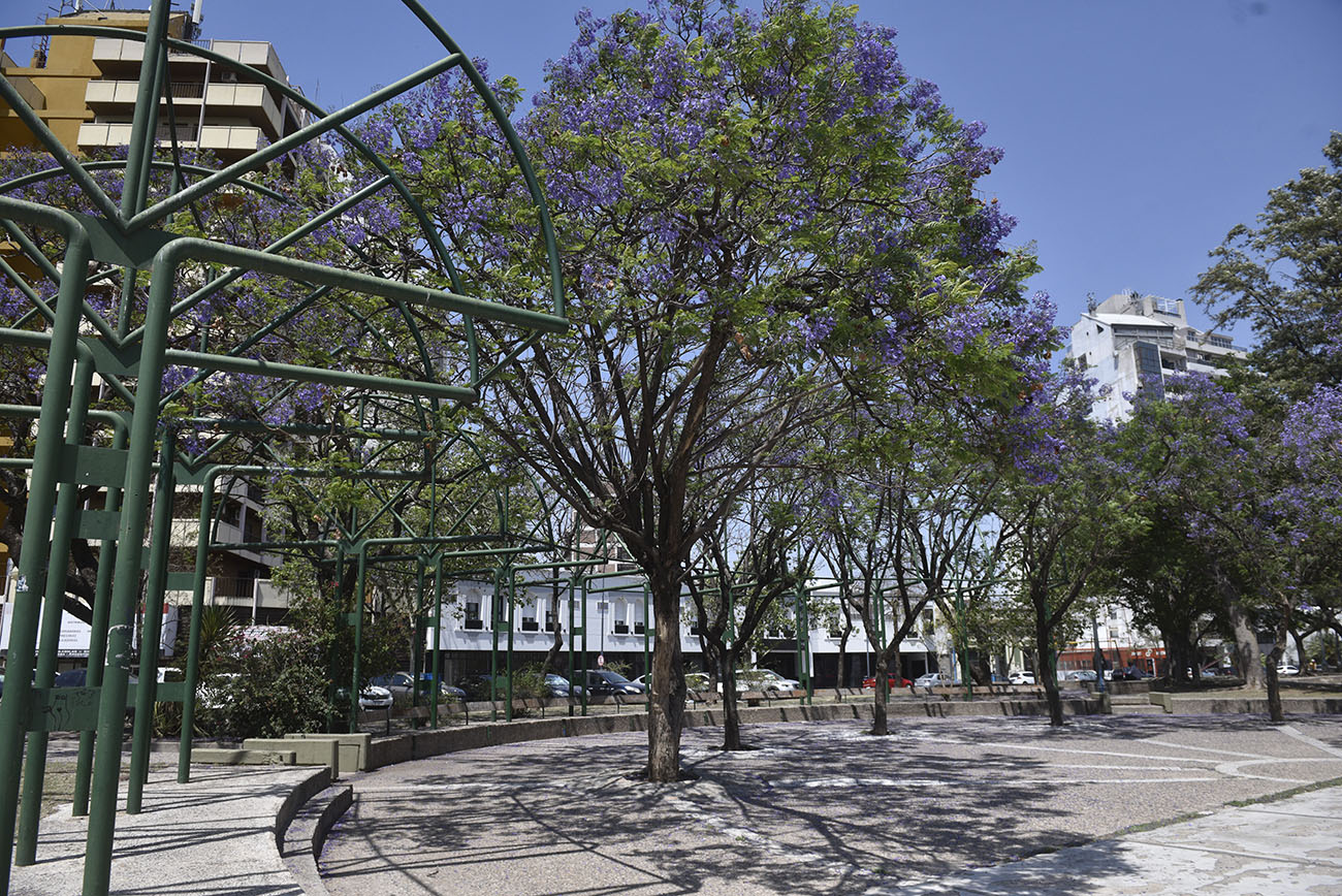 Plaza Austria, sobre la Costanera, a metros de la avenida General Paz. (Ramiro Pereyra / La Voz)