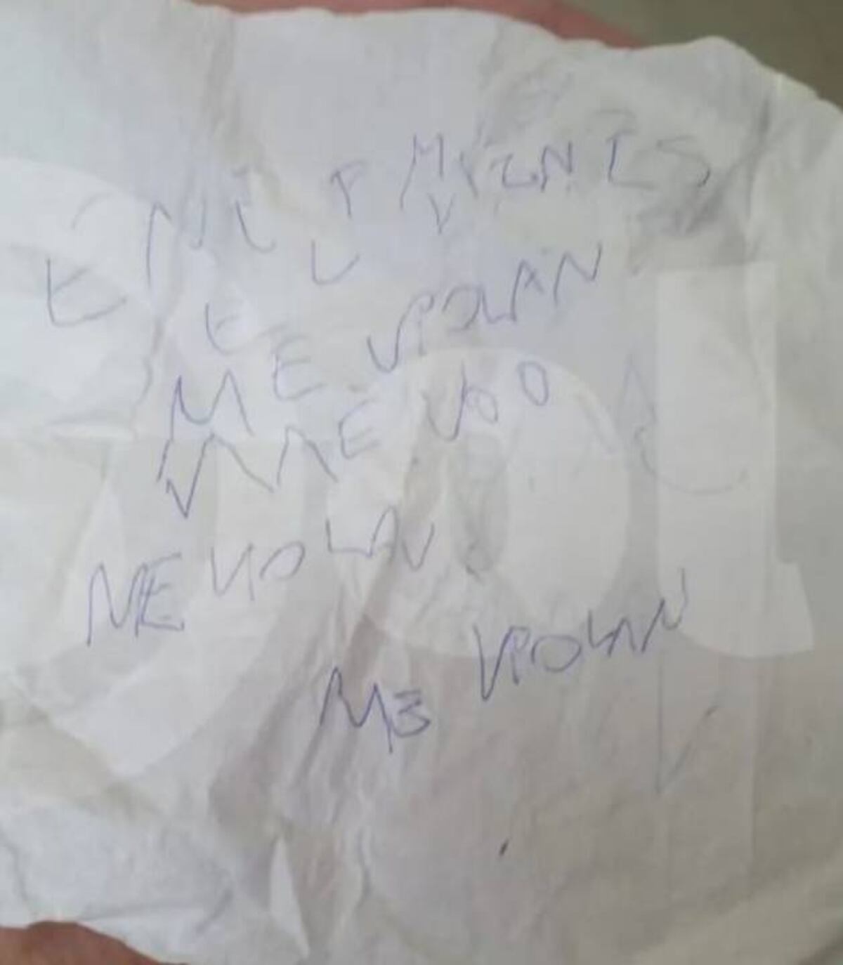 Parte del pedido de ayuda que escribió Evalyn Carrera a sus familiares antes de morir. (Foto: gentileza El Sol).