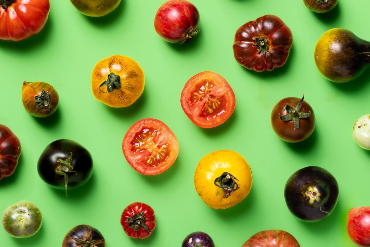 Festival Del Tomate 2026.