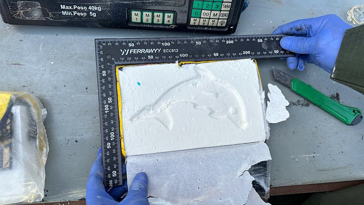 La droga. (Gendarmería)