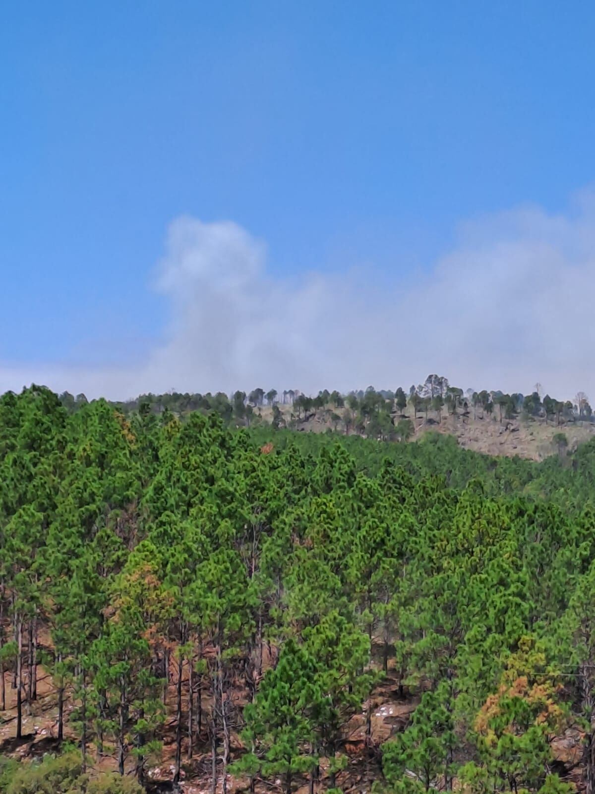 Incendios en Córdoba en la zona de Loma del Tigre, en Calamuchita. (Gentileza)