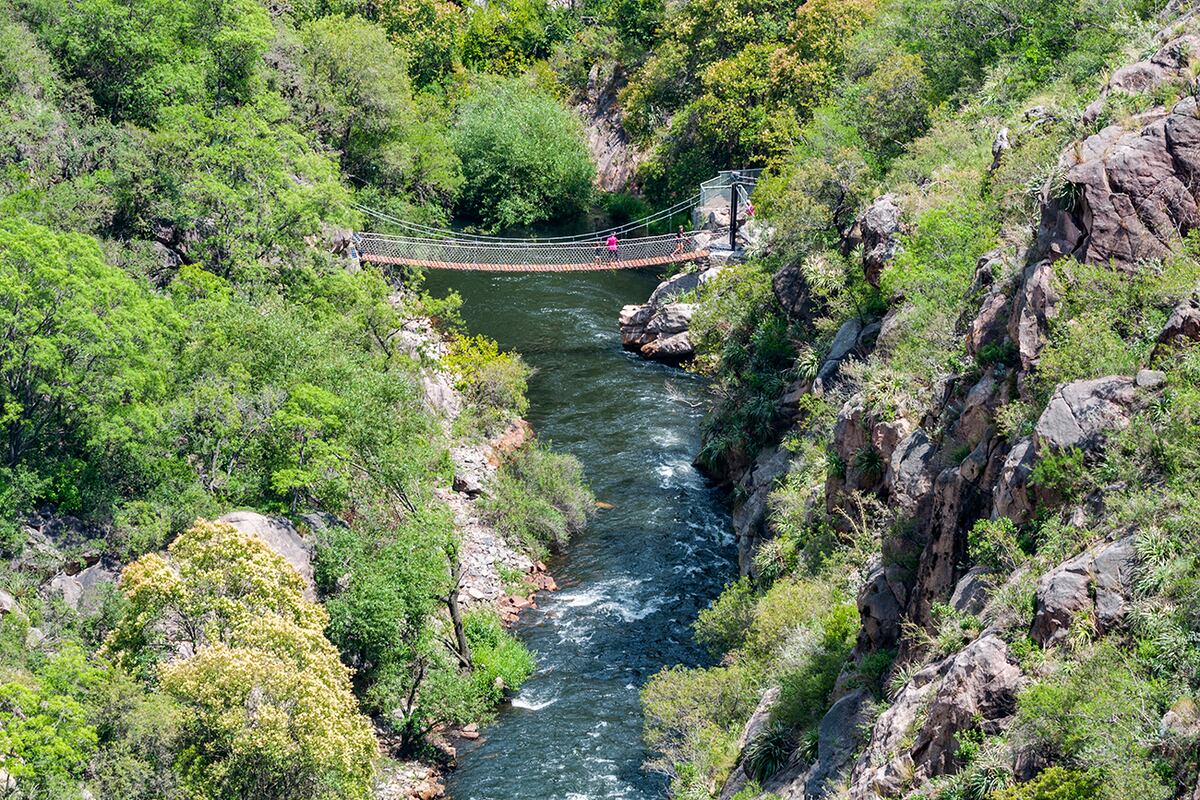 Recorrer el sendero Rey del Bosque requiere un esfuerzo extra con una recompensa al final. (Gentileza: Mario Rodríguez)