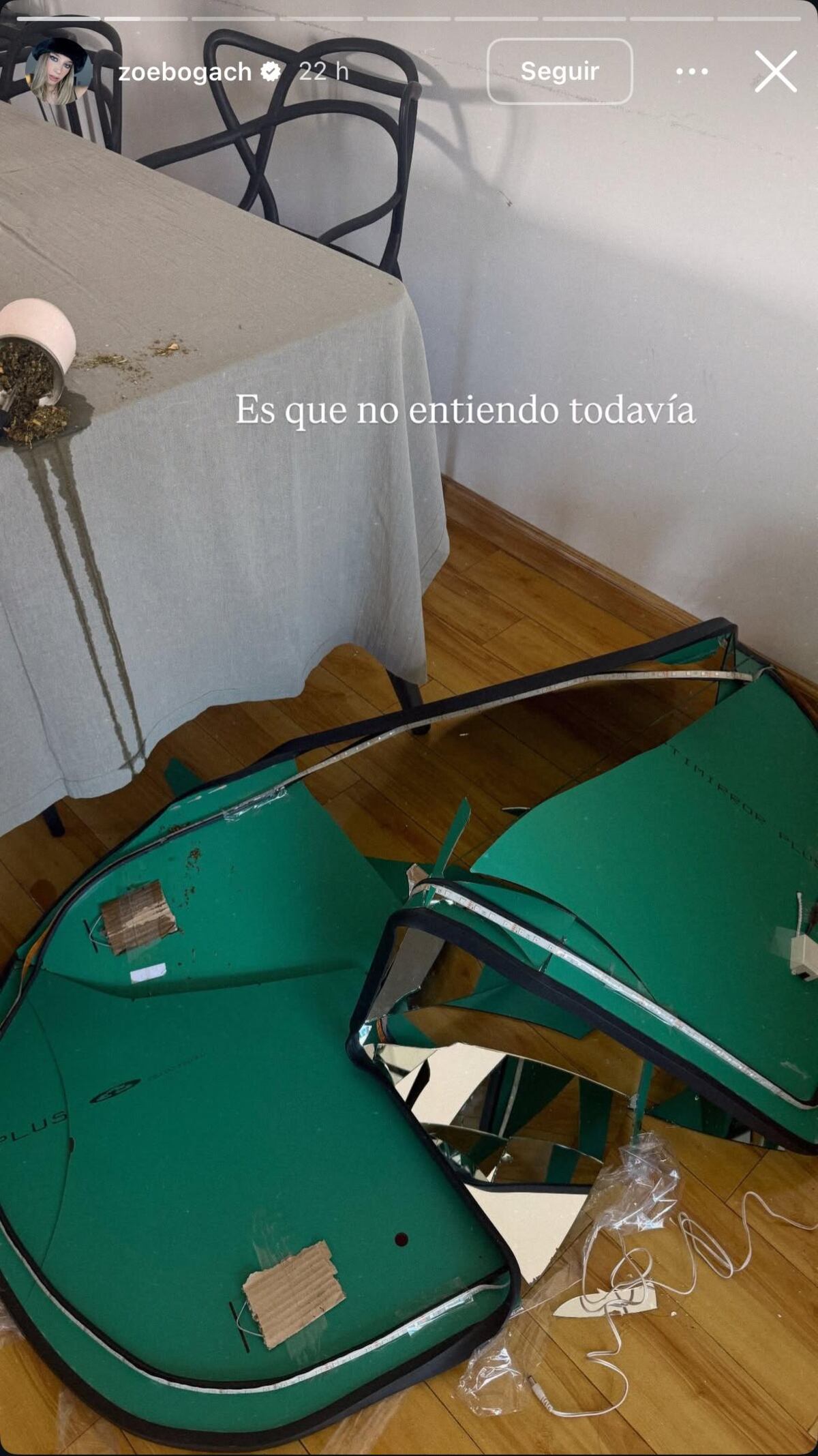 Así quedó el espejo de Zoe Bogach tras el accidente (Captura de pantalla)