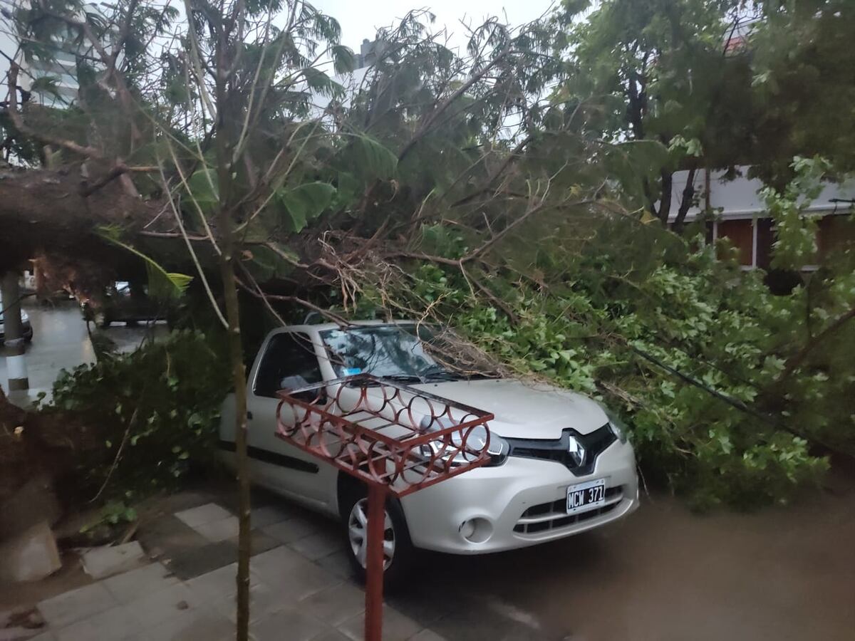 Fuerte temporal en Bahía Blanca dejó destrozos en la ciudad, varios heridos y evacuados. - Gentileza