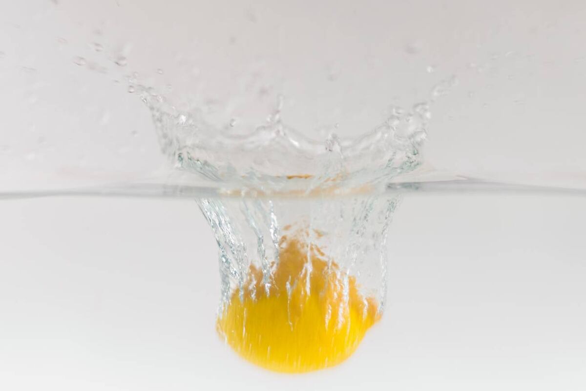 Los huevos cuando están frescos, ¿flotan en el agua? (Freepik)