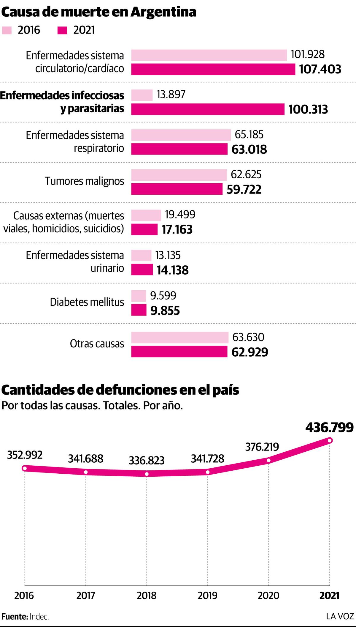 Principales causas de defunciones en Argentina