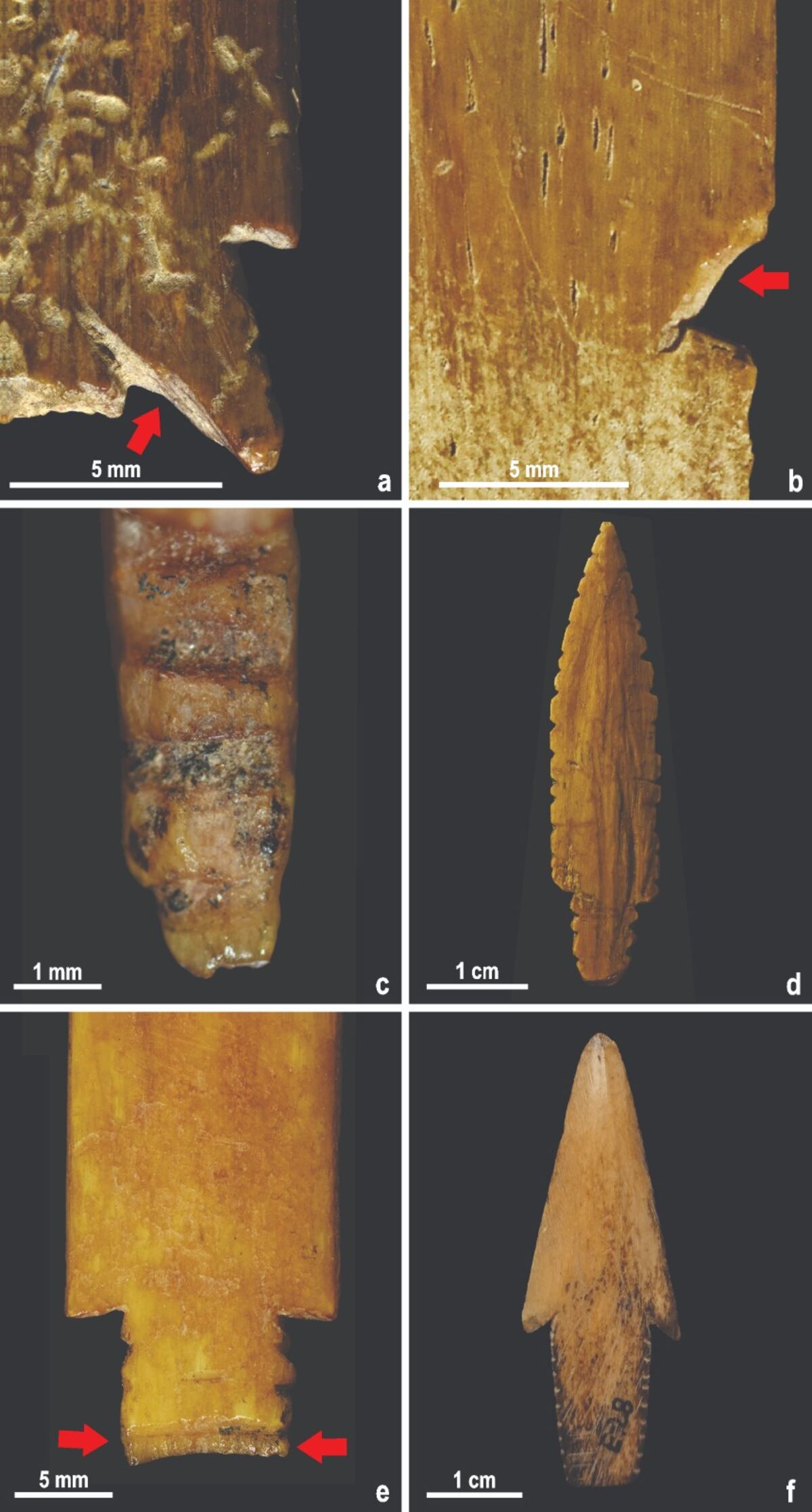 Puntas de flecha ósea del Museo Arqueológico Numba Charava, ubicado en Parque Estancia La Quinta, Villa Carlos Paz. (Gentileza).