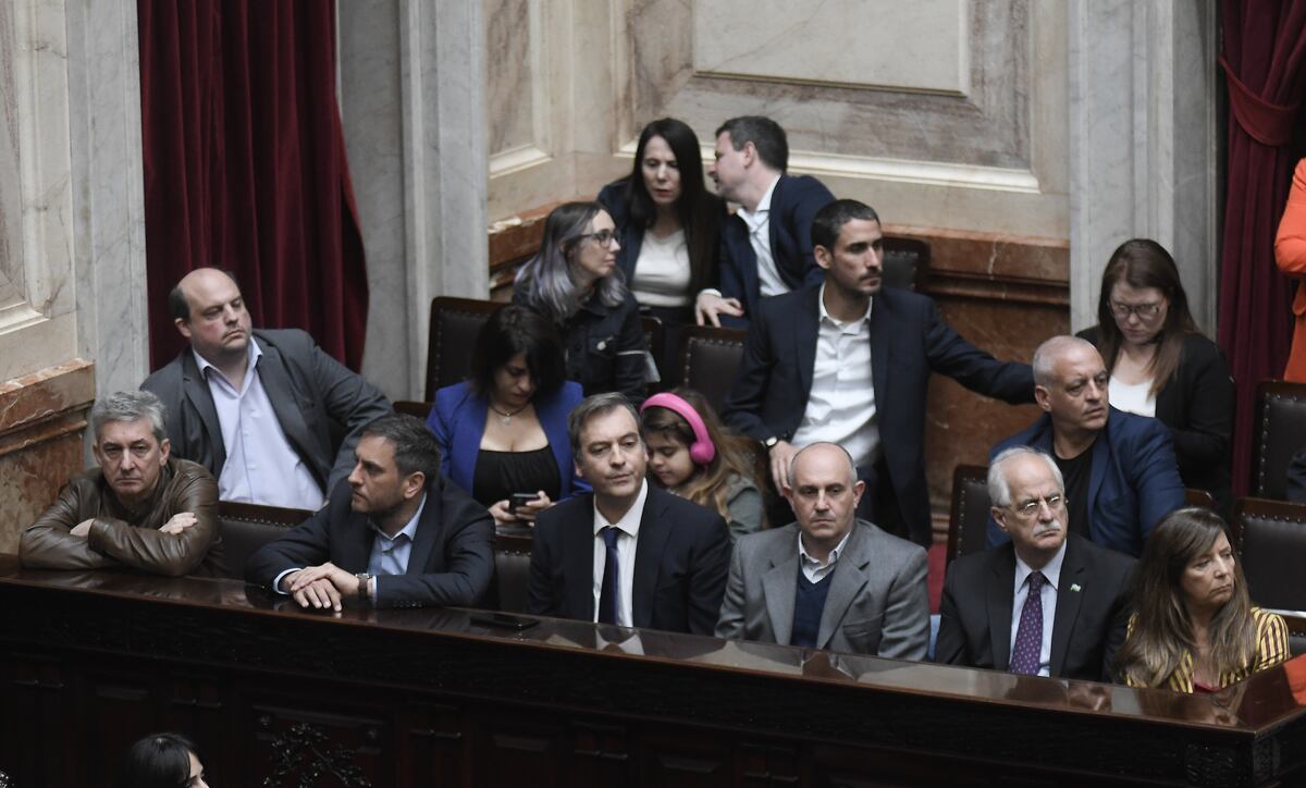 Diputados. Estuvieron en la sesión referentes del Poder Ejecutivo (Federico Lopez Claro).