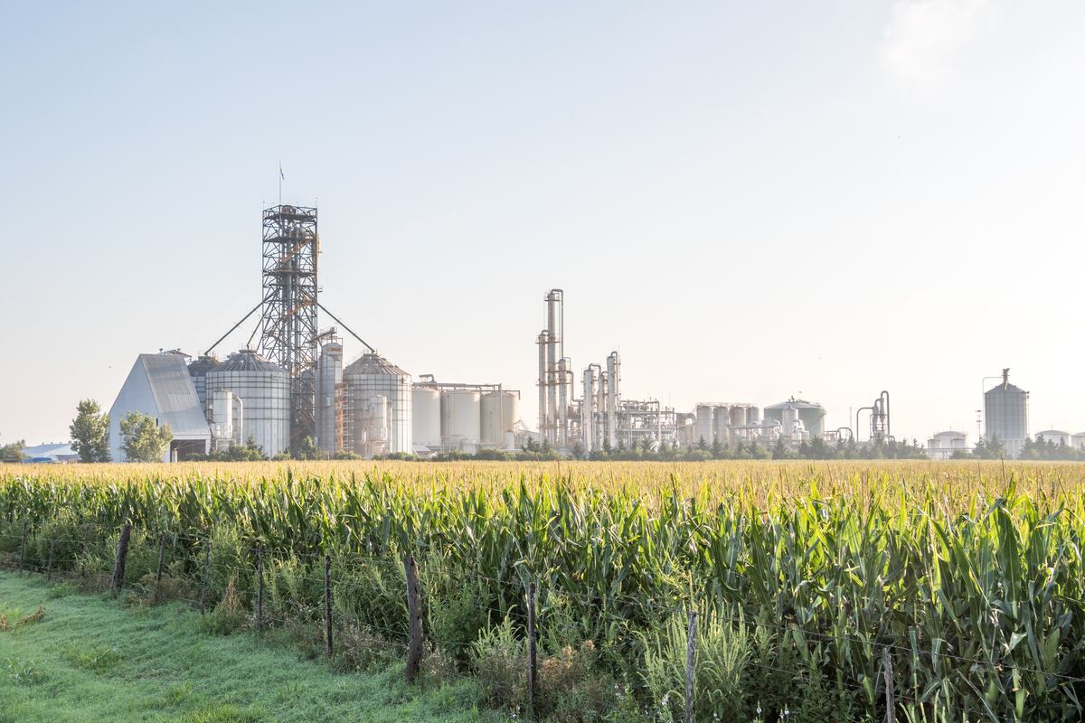 En biocombustibles, Córdoba empuja el motor que la Argentina dejó en punto muerto