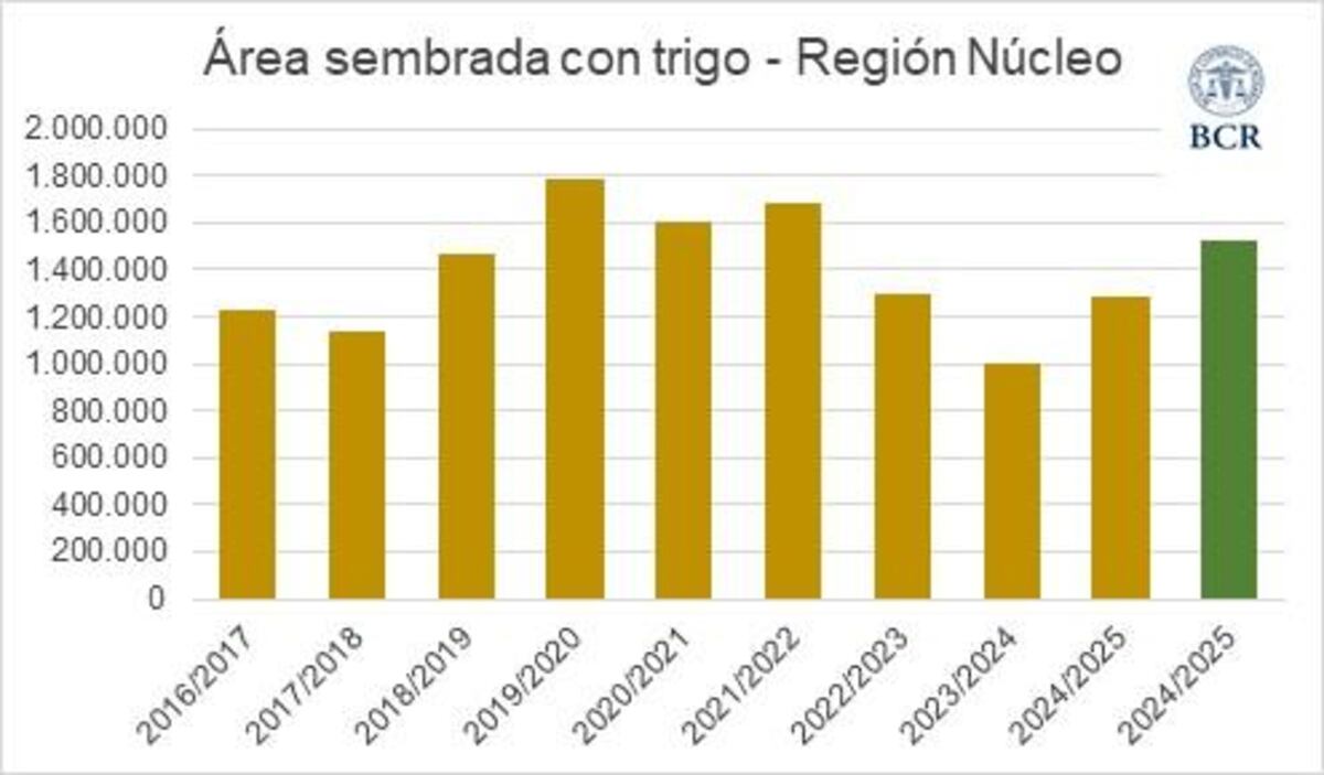 Trigo