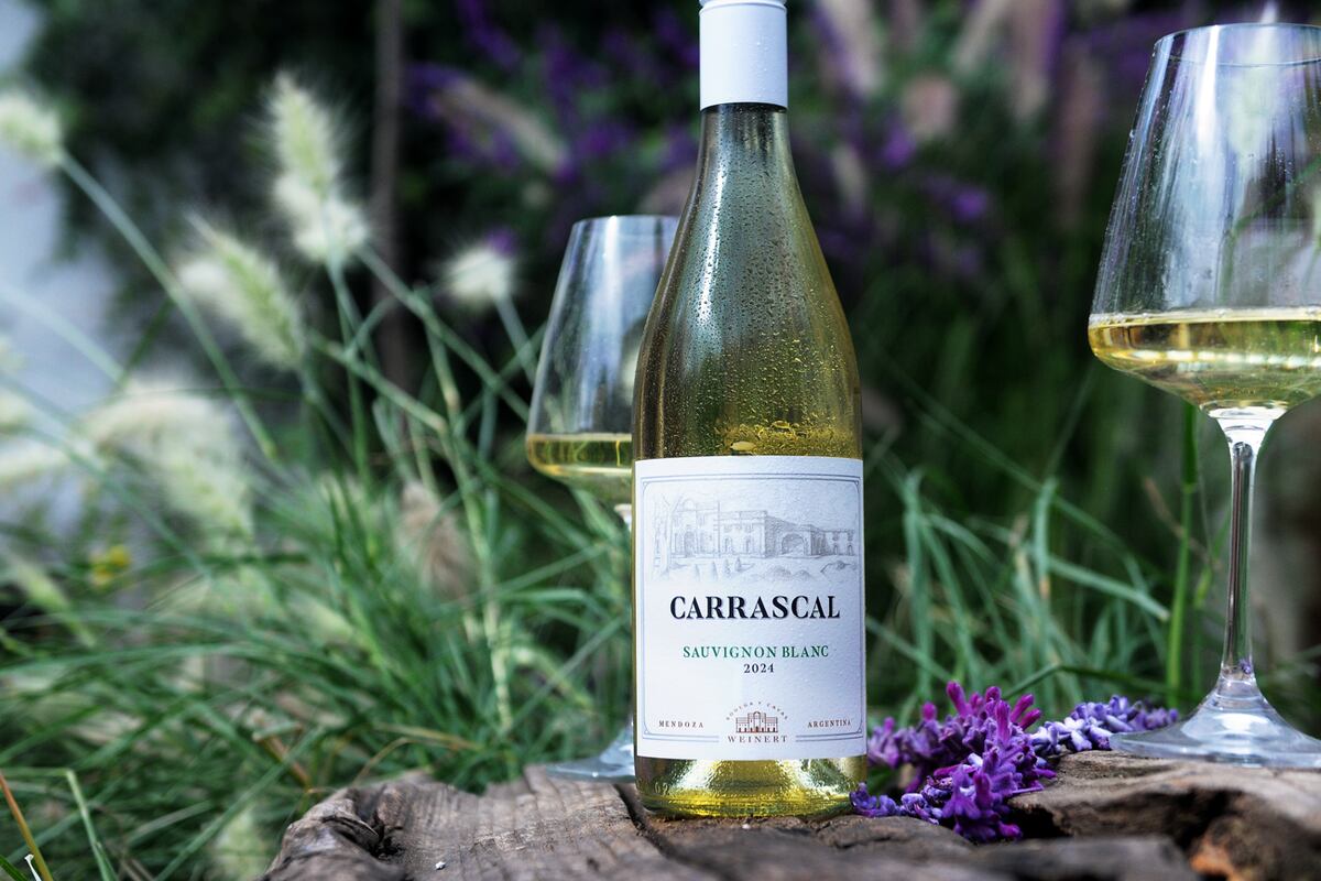 Selección de vinos sauvignon blanc: etiquetas recomendadas. (javier Ferreyra).