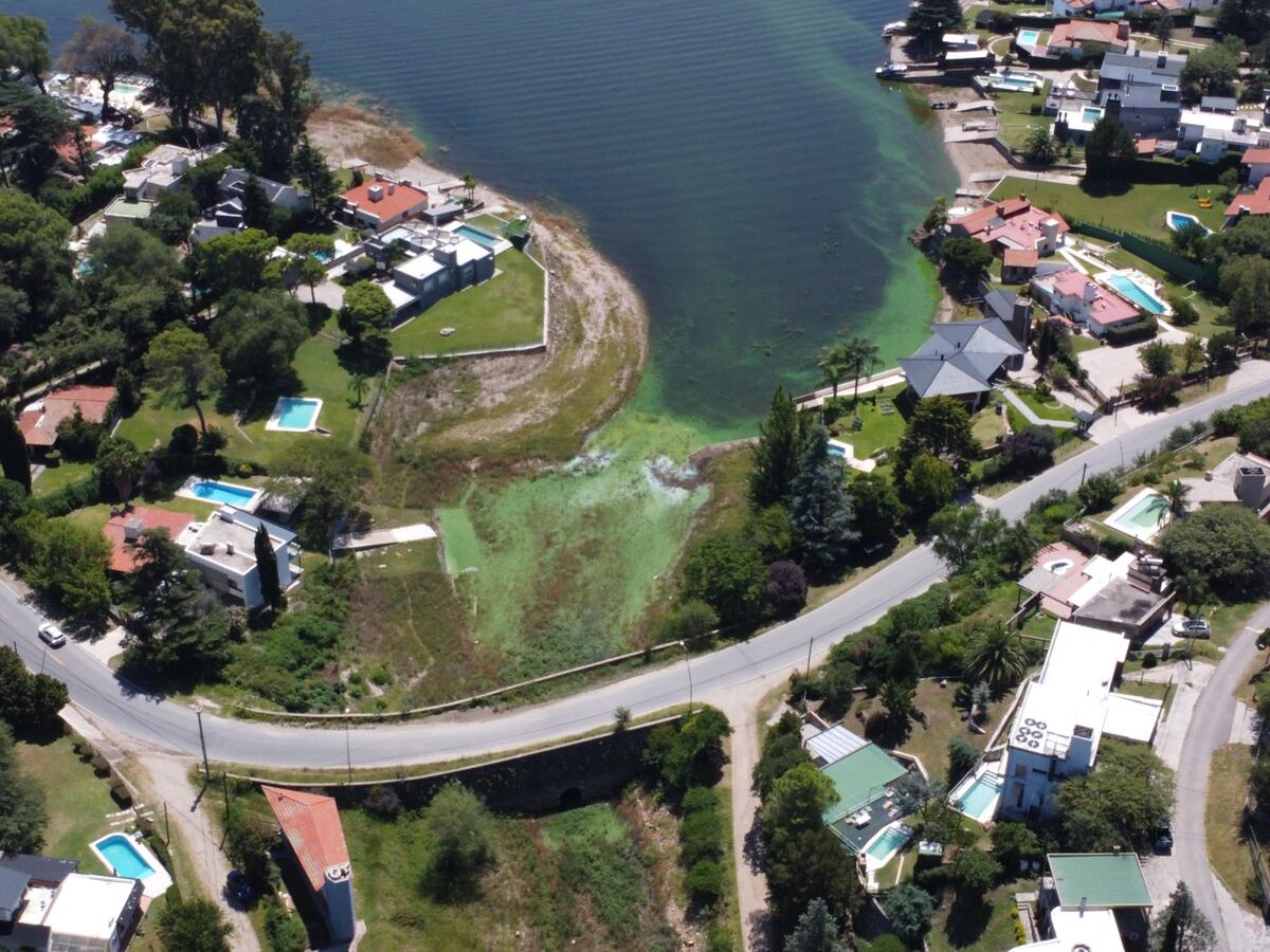 El mayor riesgo encontrado en el lago para la biota acuática está asociado a la presencia de hepatotoxinas. (Archivo)
