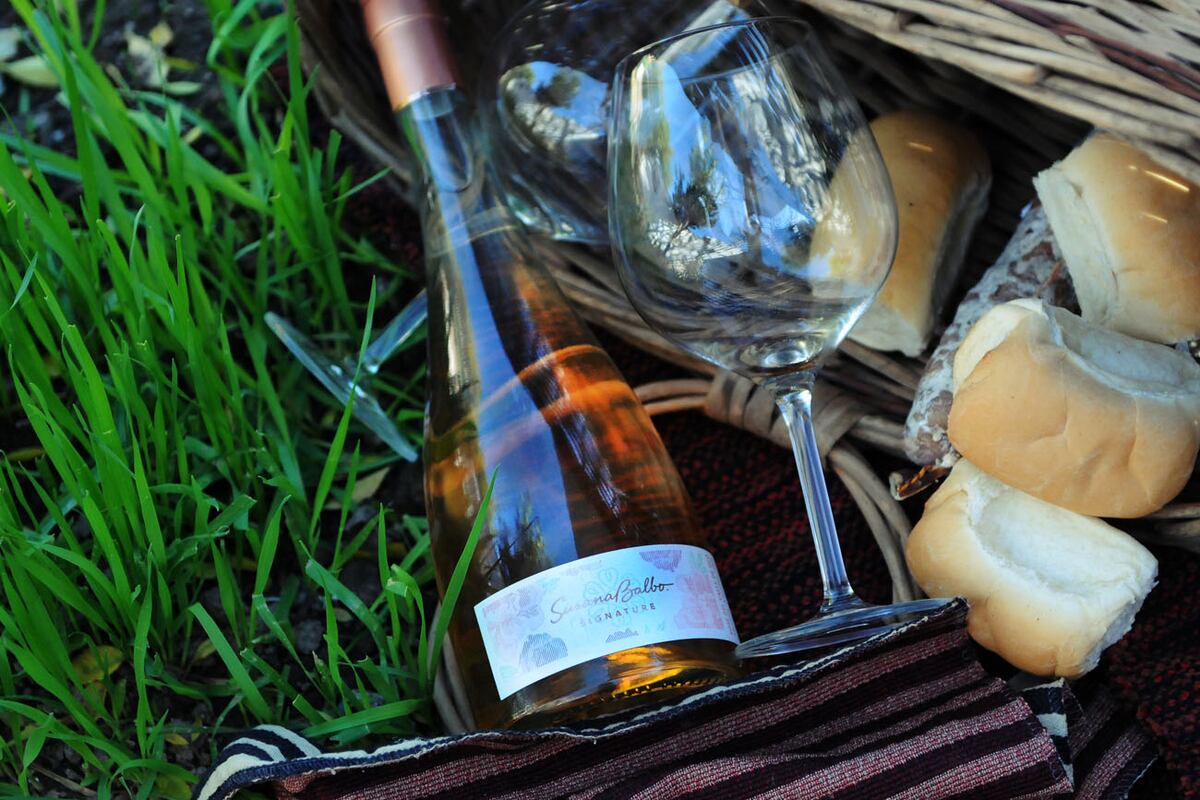 Día mundial del vino rosado: etiquetas recomendadas (Javier Ferreyra/ LVI).