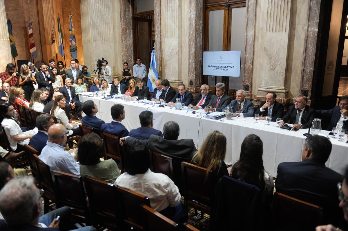 Bicameral de DNU
en el senado de la nación
Argentina
Foto Federico Lopez Claro