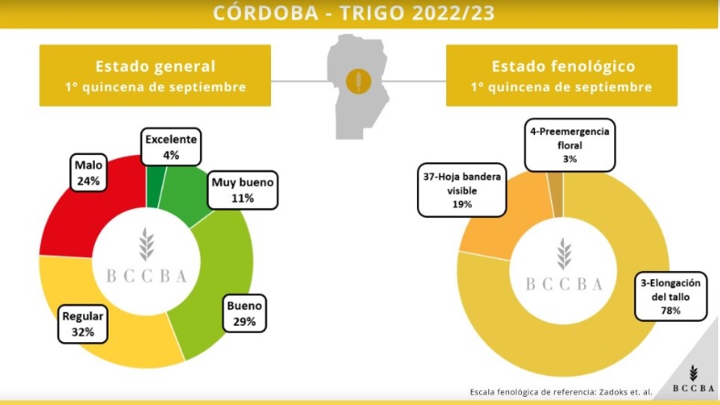 El trigo en Córdoba