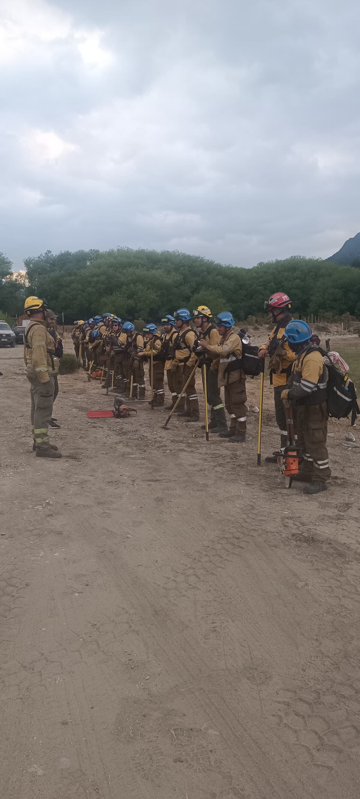 Brigadistas preparados para la tarea en el Parque Nacional Lanin.