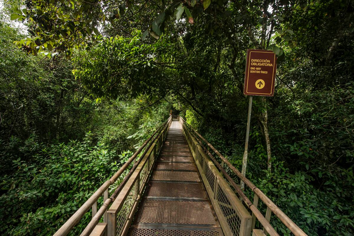 Parque Nacional Iguazú.