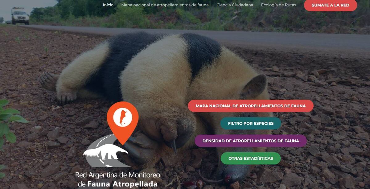 Red Argentina de Monitoreo de Fauna Atropellada.