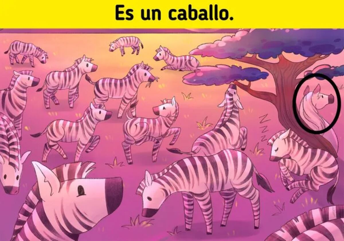La solución del acertijo visual.