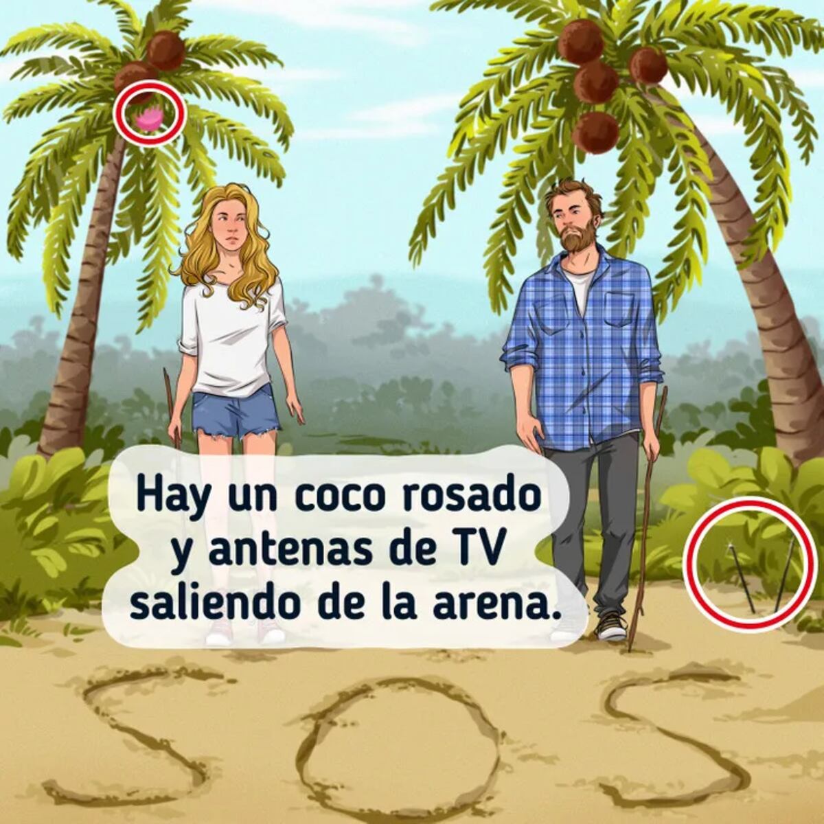 La solución del acertijo visual.