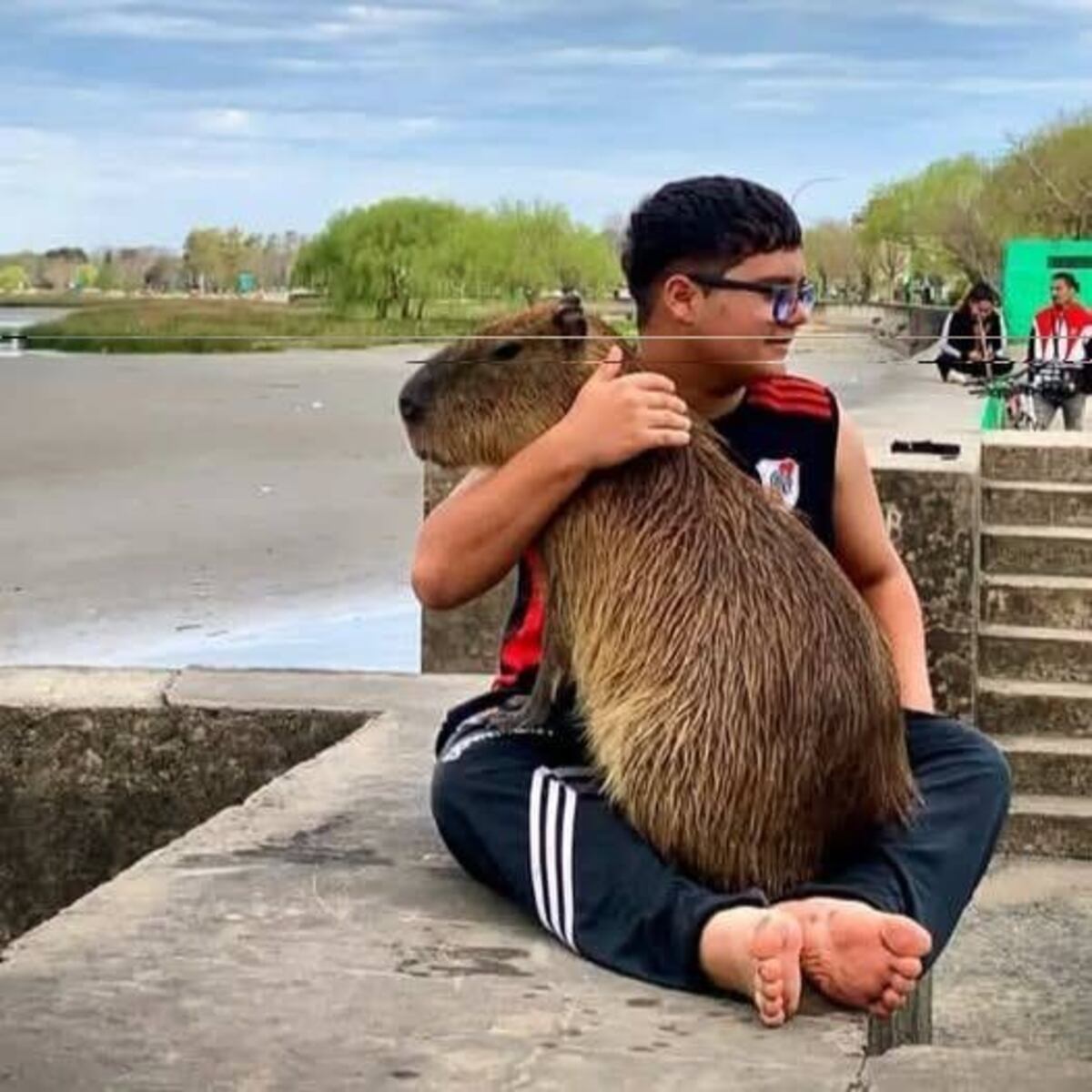 “Poroto”, el carpincho que entra a los patios de Punta Lara y conquista corazones en redes