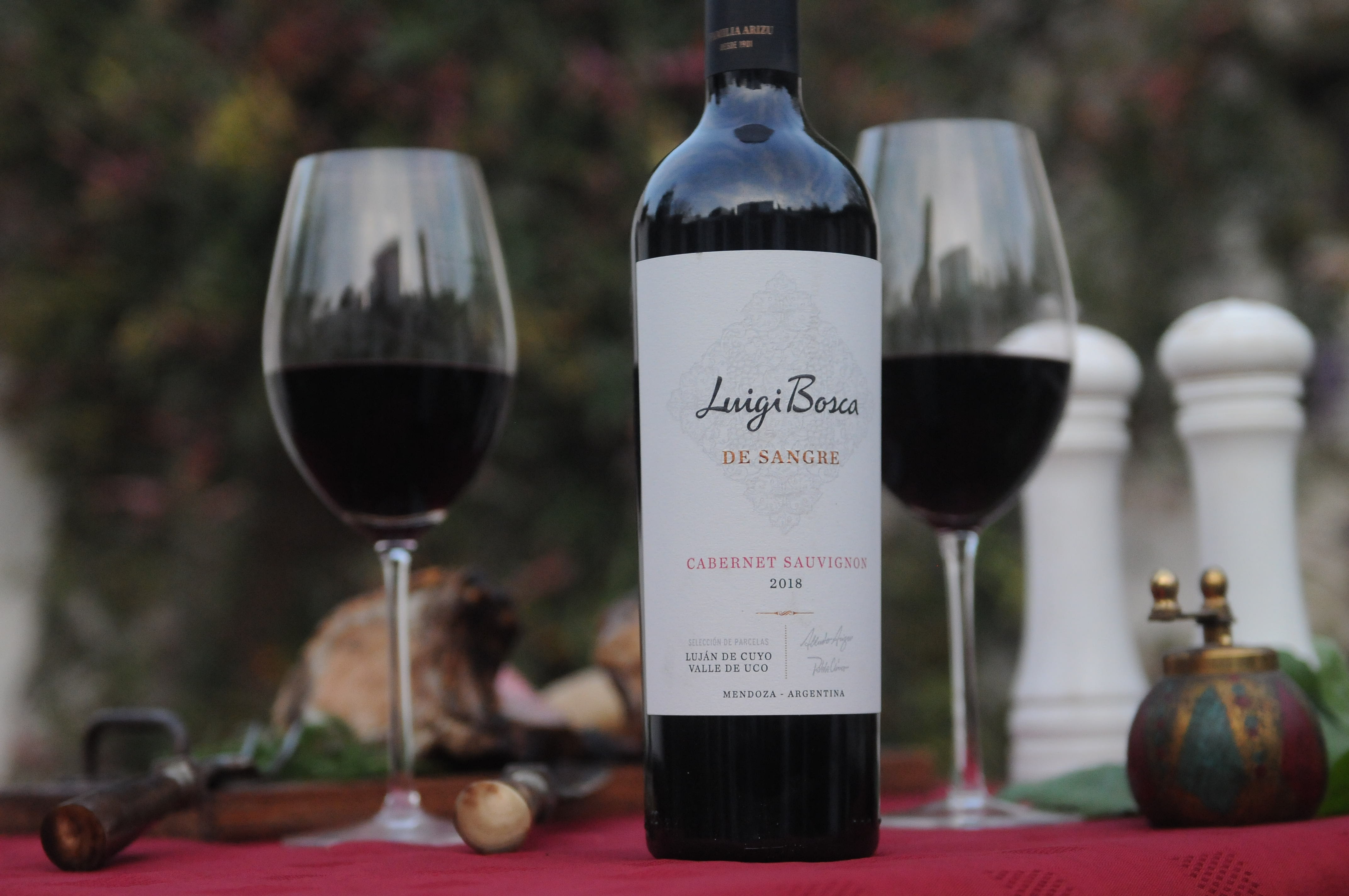 Día del Cabernet sauvignon: 10 etiquetas recomendadas (Javier Ferreyra / La Voz del Interior).